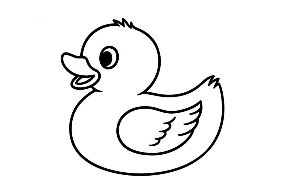 Ente möchte wieder zu ihrem Besitzer